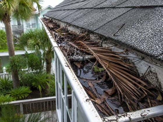 Before: a gutter packed with palm fronds, leaves and standing water